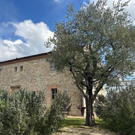Borgo Cardaneto Bed & Breakfast Montone  Exterior foto