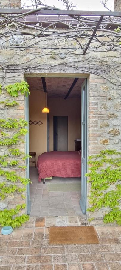 Borgo Cardaneto Bed & Breakfast Montone  Exterior foto
