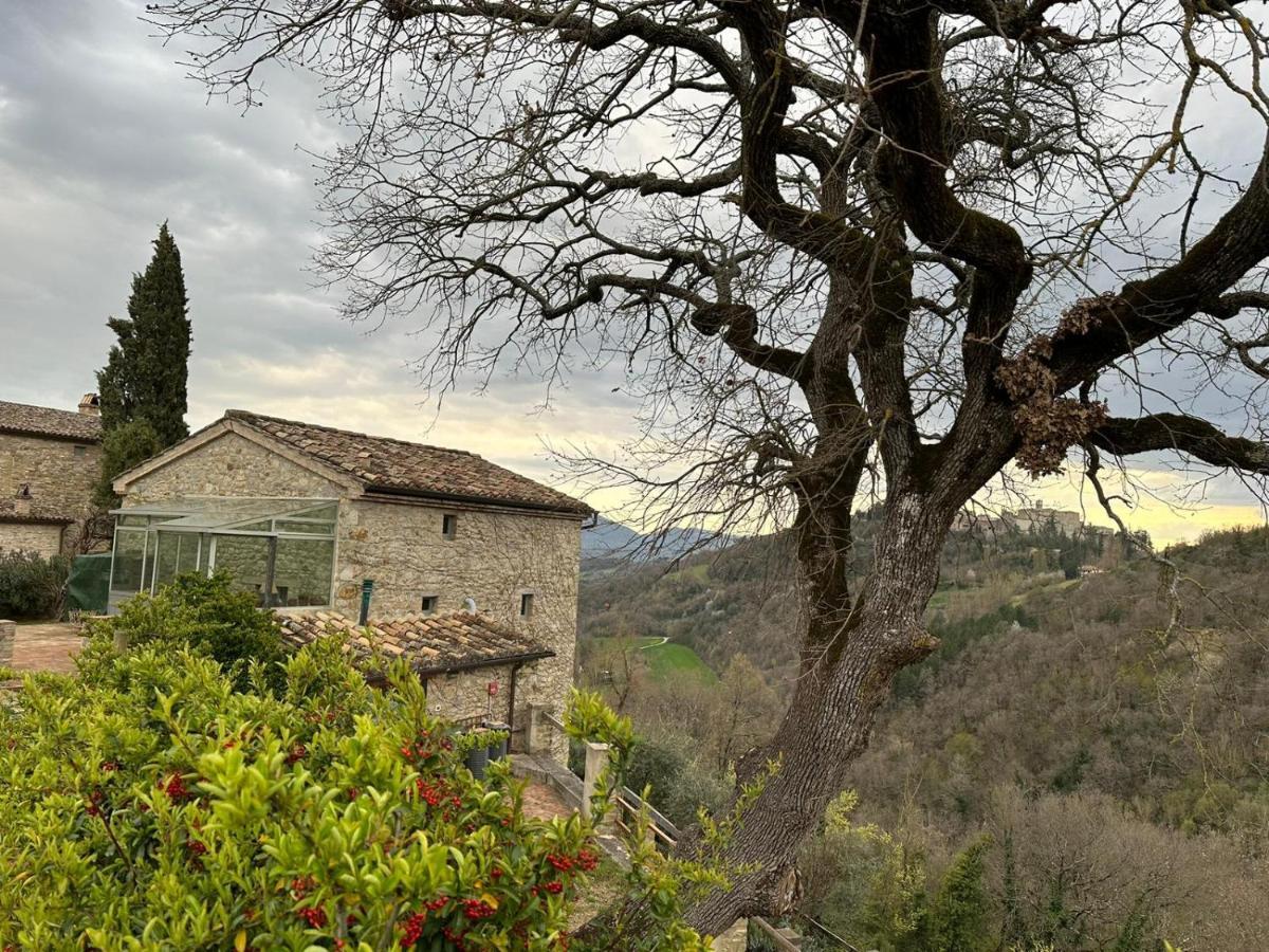 Borgo Cardaneto Bed & Breakfast Montone  Exterior foto