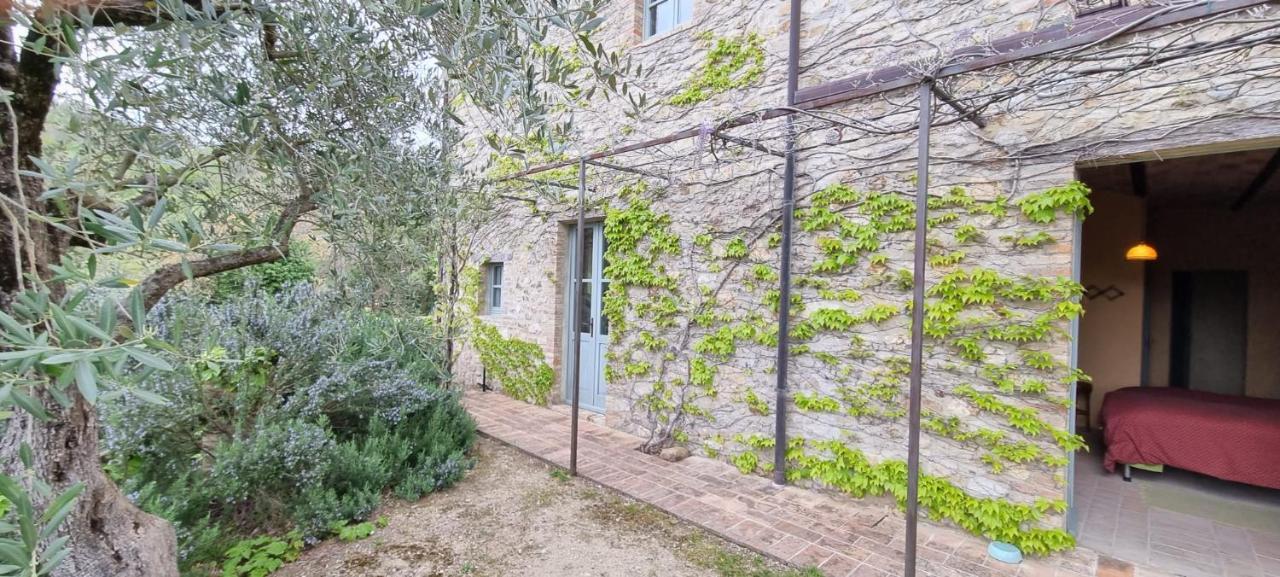 Borgo Cardaneto Bed & Breakfast Montone  Exterior foto
