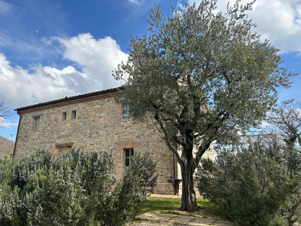 Borgo Cardaneto Bed & Breakfast Montone  Exterior foto