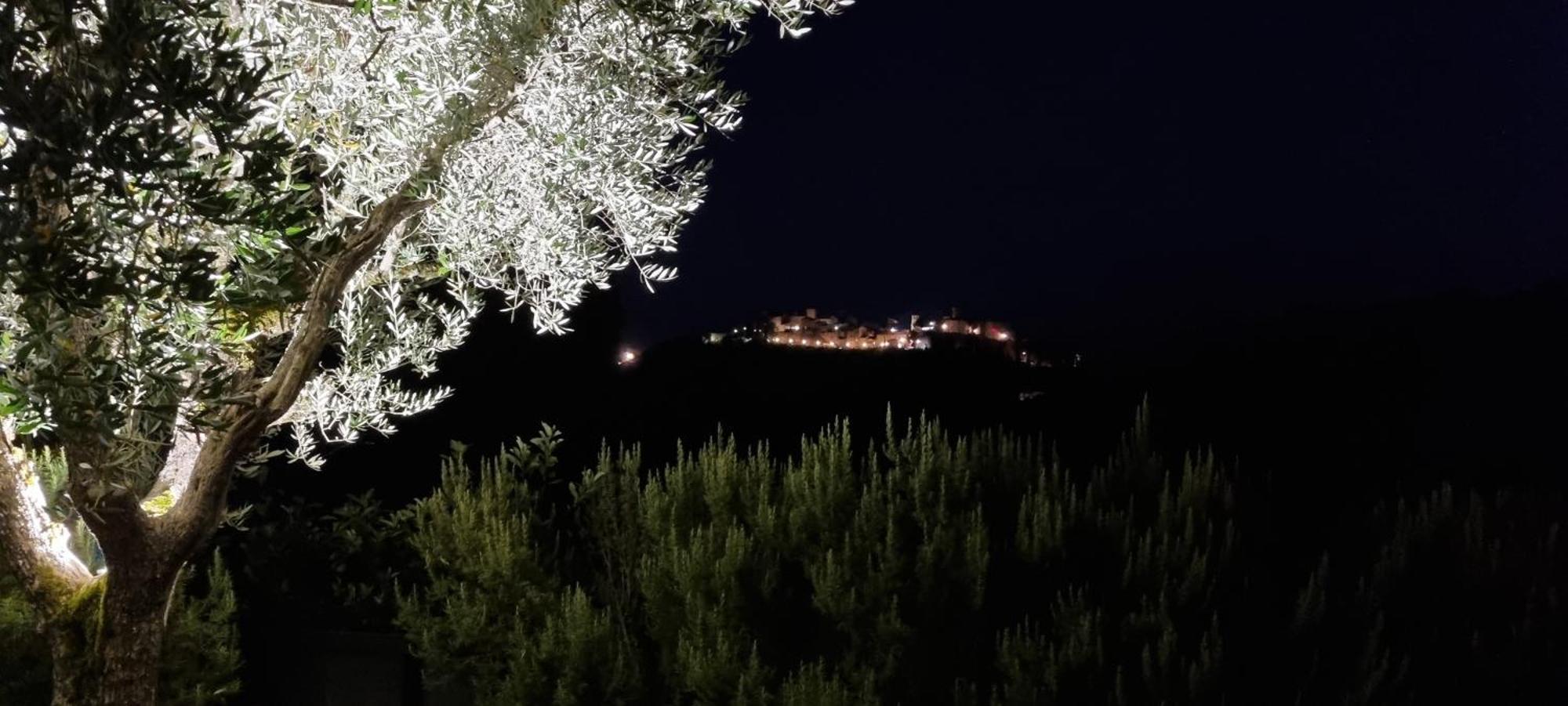 Borgo Cardaneto Bed & Breakfast Montone  Exterior foto
