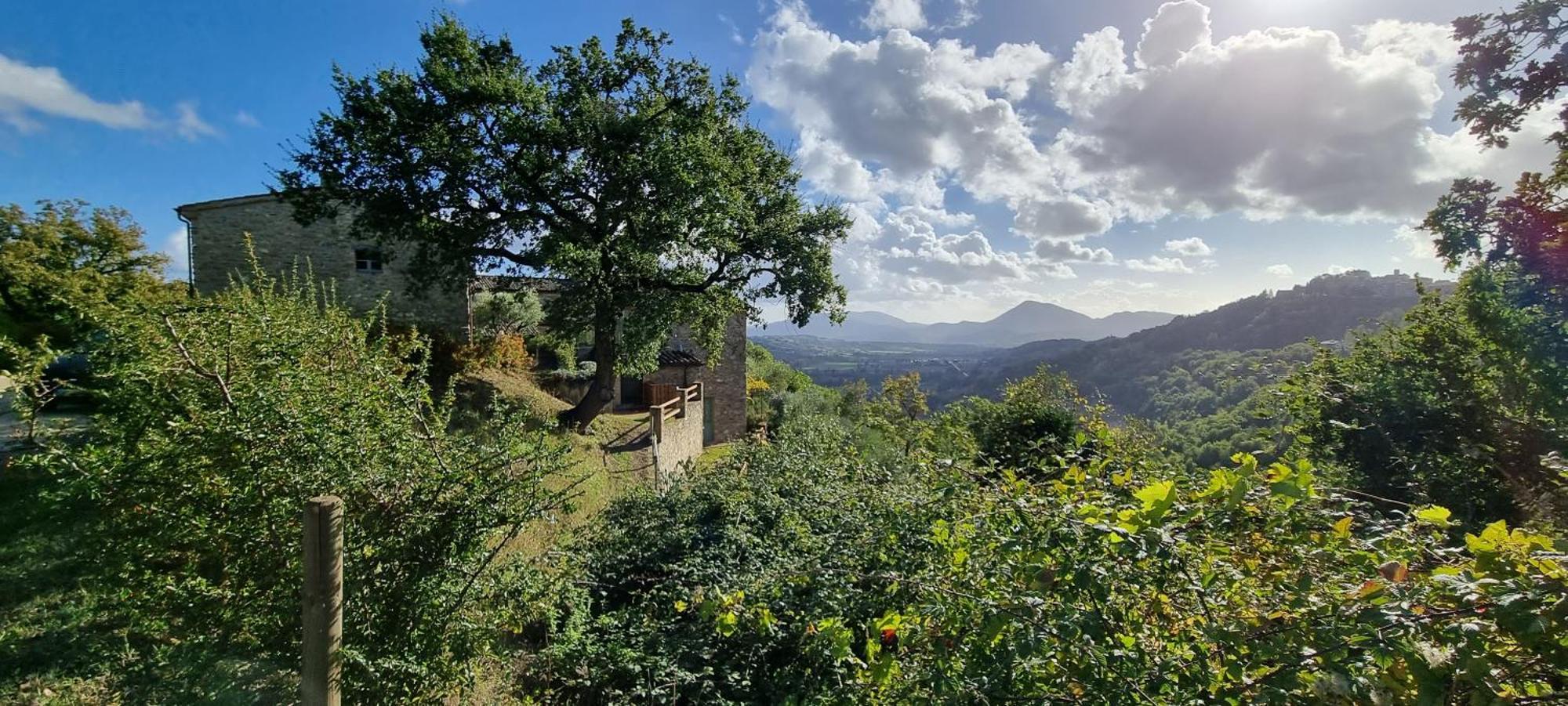 Borgo Cardaneto Bed & Breakfast Montone  Exterior foto