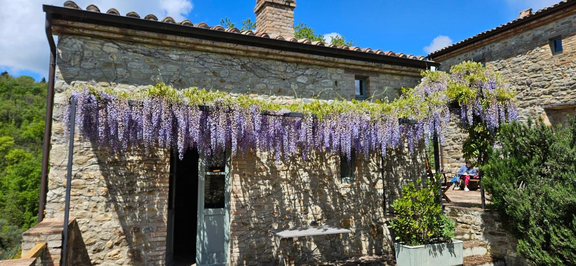 Borgo Cardaneto Bed & Breakfast Montone  Exterior foto